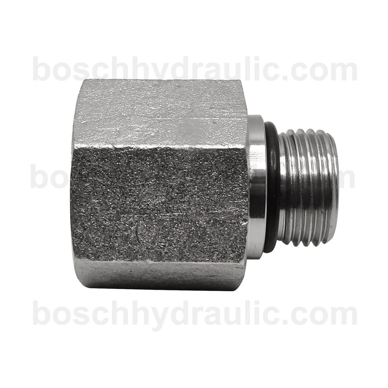 ORB M -10 X NPT F -12