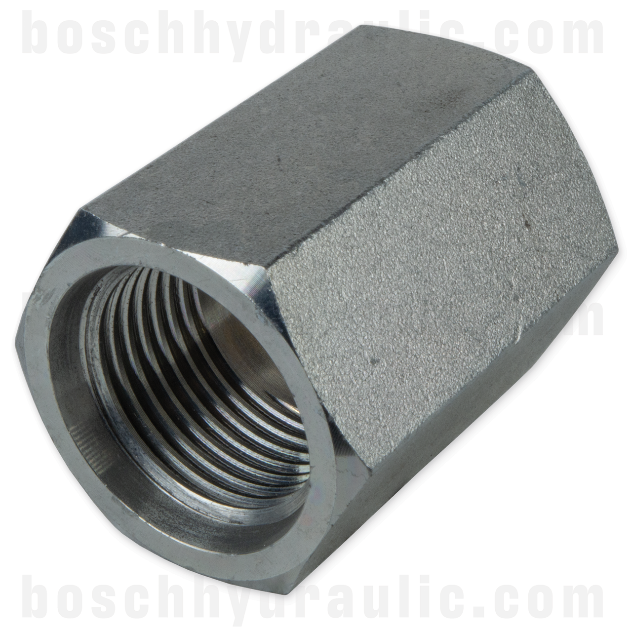 -10 ORB FEMALE X -08 NPT FEMALE