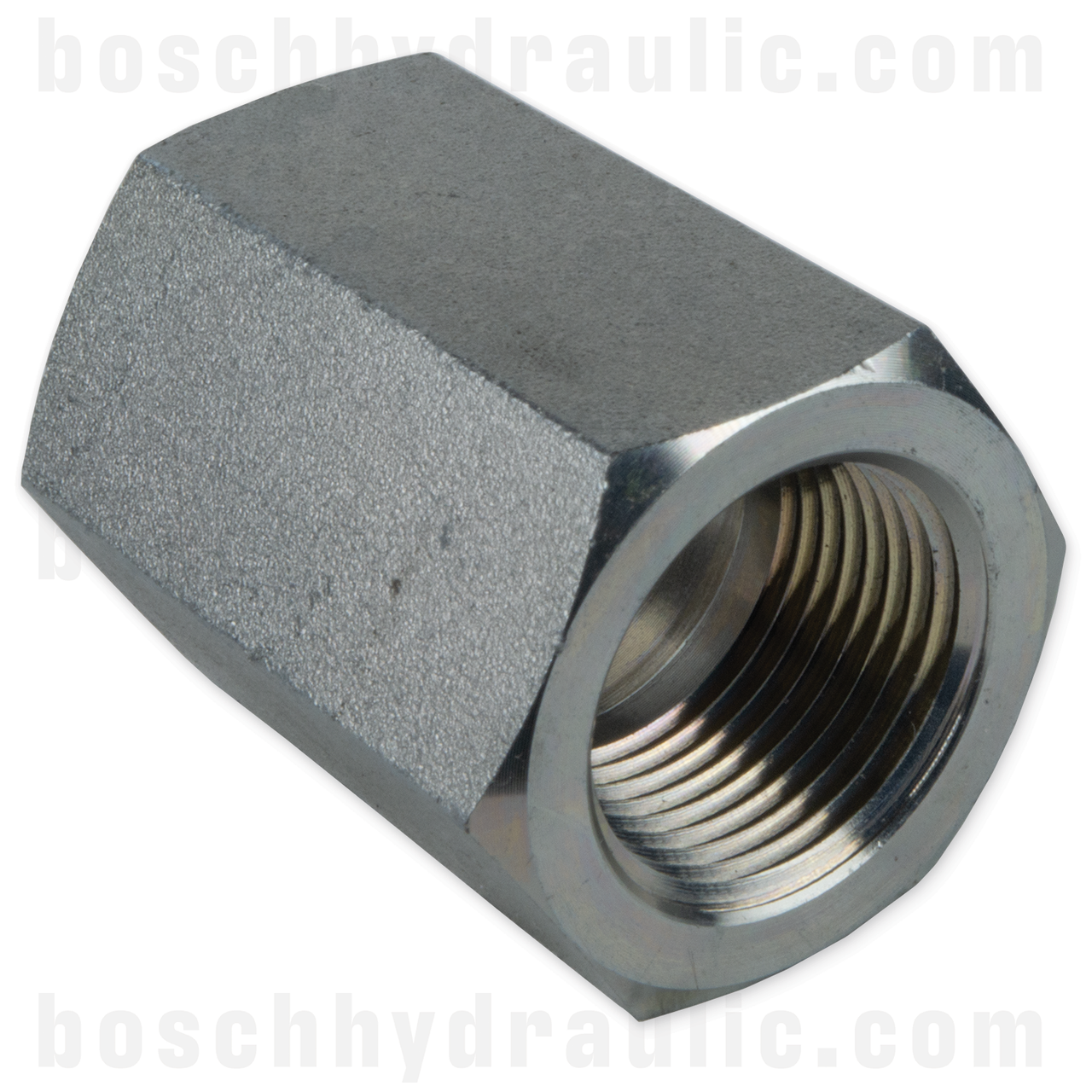 -12 ORB FEMALE X -12 NPT FEMALE