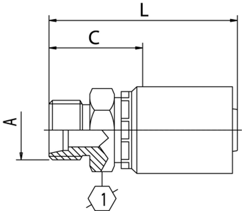 B2 SERIES: Hose -12 X DIN M 22L