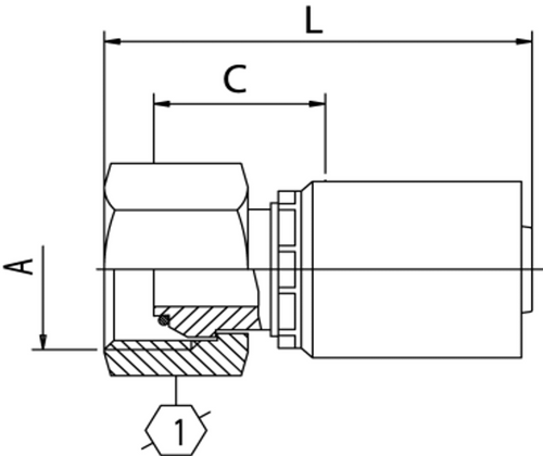 B2 SERIES: Hose -04 X BSP F -06