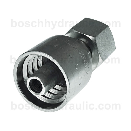 B2 SERIES: Hose -06 X BSP F -06