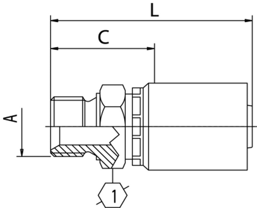 B2 SERIES: Hose -06 X BSP M -06