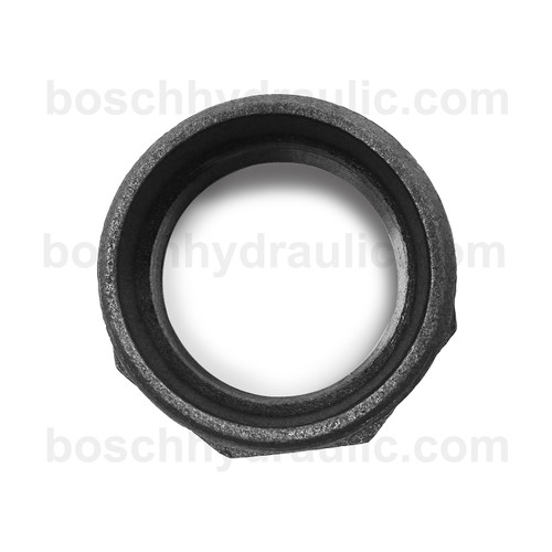 Black Pipe NPT M -48 X NPT F -40