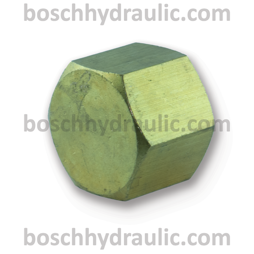 Brass NPT -06 Cap
