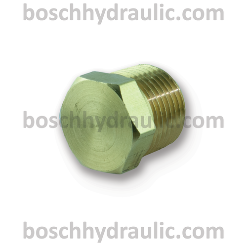 Brass Hex Head Plug -06 NPT