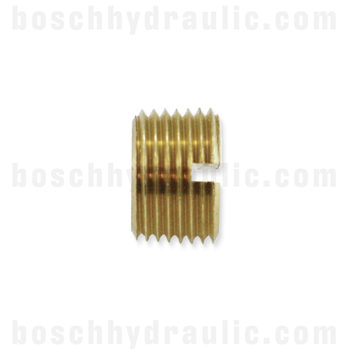 BRASS SLOTTED PLUG -06 NPT