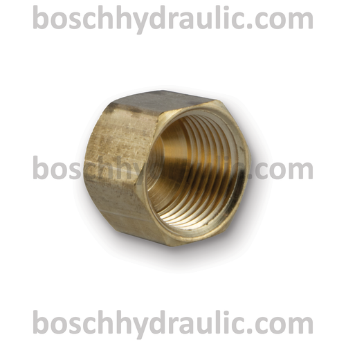 BRASS SAE 45 -08 CAP