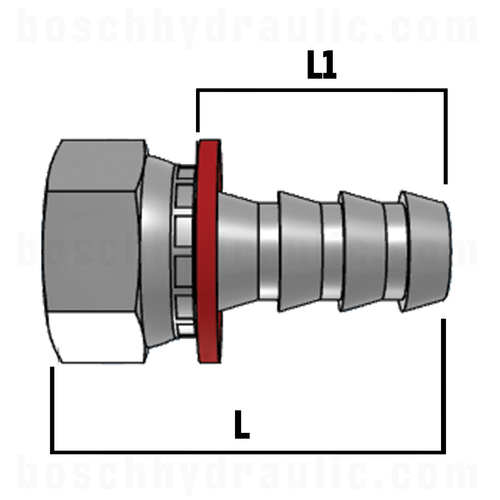 -10 BSPP FEMALE X -10 HOSE PUSH-ON
