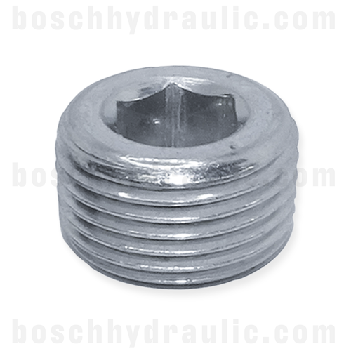 -04 BSPT ALLEN PLUG