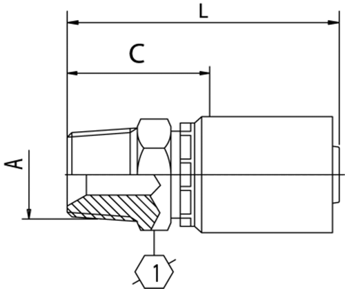 B2 SERIES: Hose -08 X NPT M -12