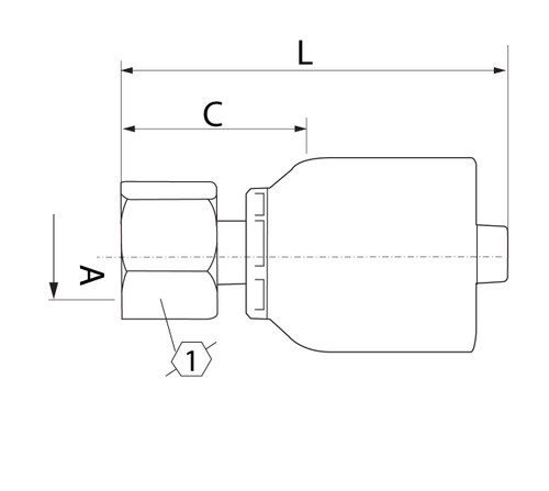 SG SERIES: Hose -12 X BSP F -12
