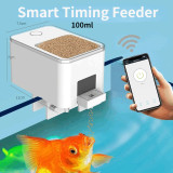 Wifi White (Yellow)
