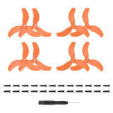Orange 4 pairs (WHITE)