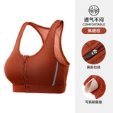 Caramel Brown (Algae Yellow) - 686