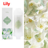 Lily-New (plum)