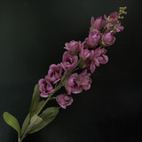 Pink Purple (black)