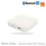 Bluetooth gateway (green)