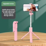 Pink (Orange)