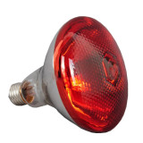 100 W Heating bulb (Burgundy)