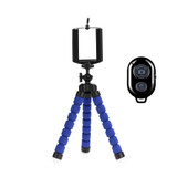Remote BlueT (Sliver)