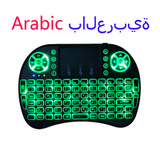 Arabic (camel) - 173