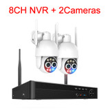 8CH NVR and 2 Camera (WHITE) - 954