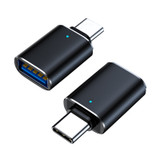 Only Adapter (Option 1)