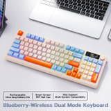 Blueberry (Navy Blue)