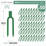 Green-48mm (Beige)