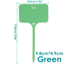 Green 9.8x4.9cm (Burgundy) - 641