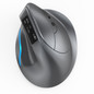 F26C mouse (GRAY)