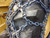 5/8 inch 23.5x25 Scorpion Double Diamond Studded Chains