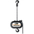 500 pounds x 80 feet CM Prostar 1 Phase Electric Hoist