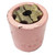Pink 9/16-5/8 Inch Dwarf Quick Fix