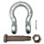1 inch Procraft Load Rated Bolt Type Anchor Shackles