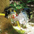PCA-1263 Tree Mount Anchor