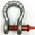 1/4 inch CM M646G Screw Pin Anchor Shackles