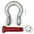 2 inch Crosby G-2130 Load Rated Bolt Type Anchor Shackles