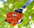 Rock Exotica P55-B 2.6 inch Omni Block