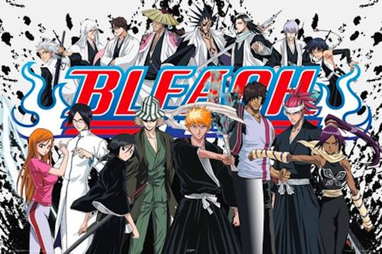 Bleach Cast Anime Poster