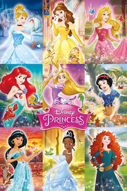 Disney Princesses Movie & TV Poster