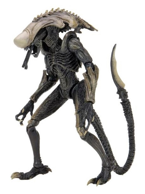 Alien Vs Predator – Chrysalis Alien 7” Scale (Action Figure) Movie Deco