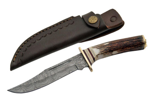 Damascus El Dorado Hunter Stag Handle Fixed Blade (10.25" Overall)