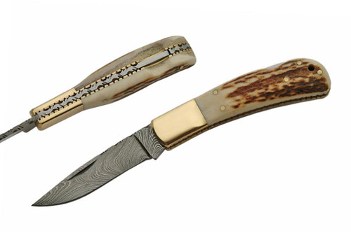 Damascus Plain Brass Bolster & Stag Handle Folding Knife (3" Blade Length)