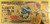 Fairy Tail Anime (Natsu Dragneel) Souvenir Coin Banknote