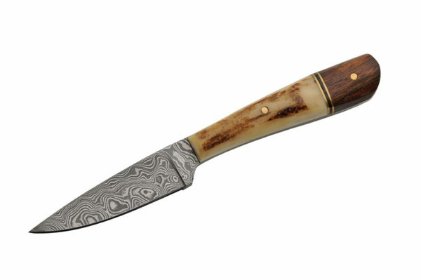 Damascus Stag / Rosewood Handle Skinner Fixed Blade (7" Overall)