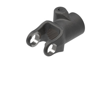 21spline1__88467.1598026356.