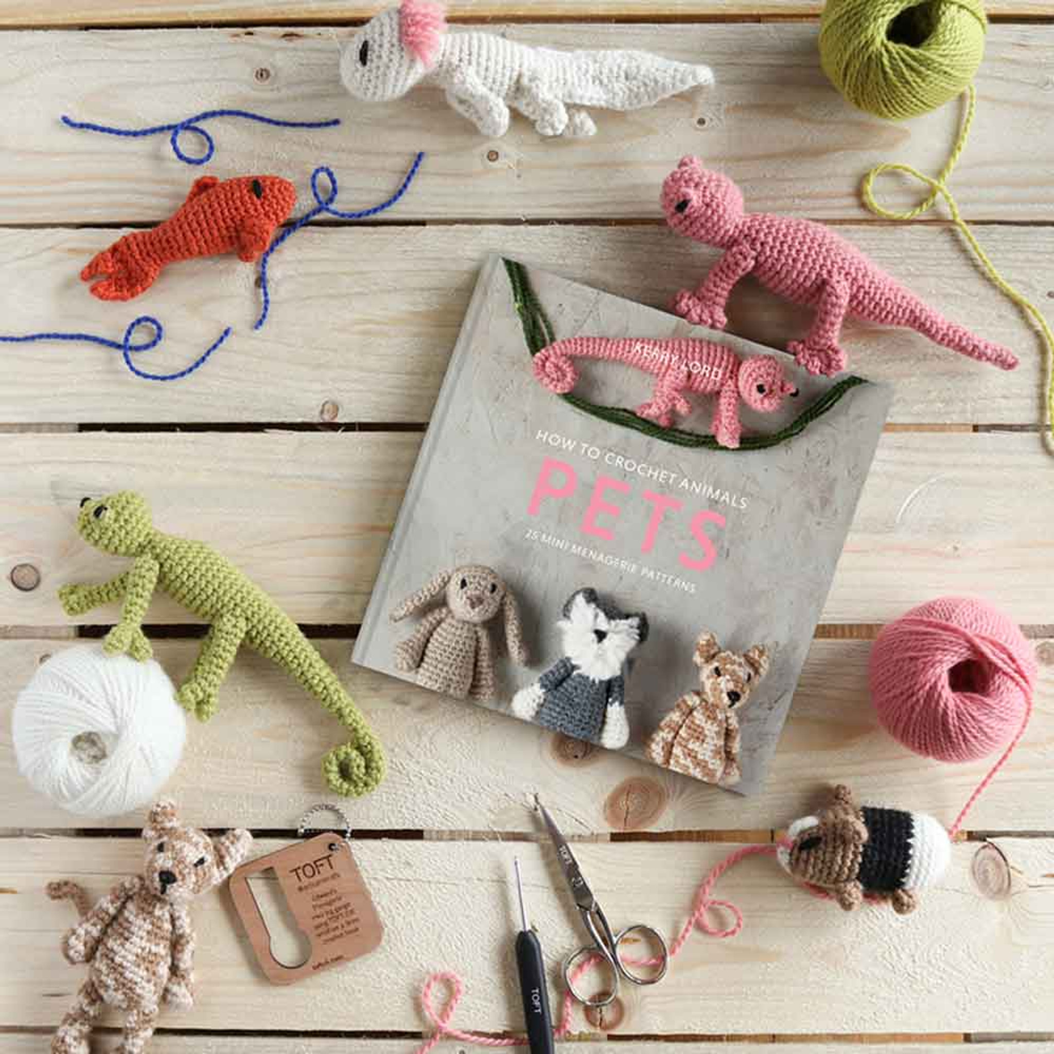 How to Crochet Animals: Pets: 25 mini menagerie patterns: 1: Lord, Kerry:  9781911641810: : Books