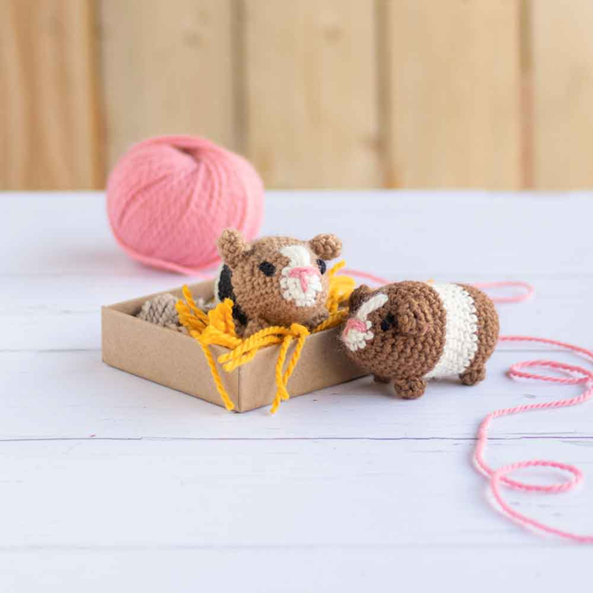 How to Crochet Animals: Pets: 25 mini menagerie patterns: 1: Lord, Kerry:  9781911641810: : Books